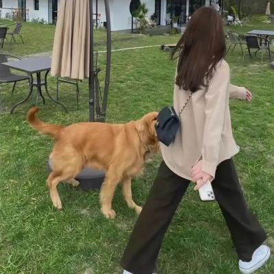 黑色少年